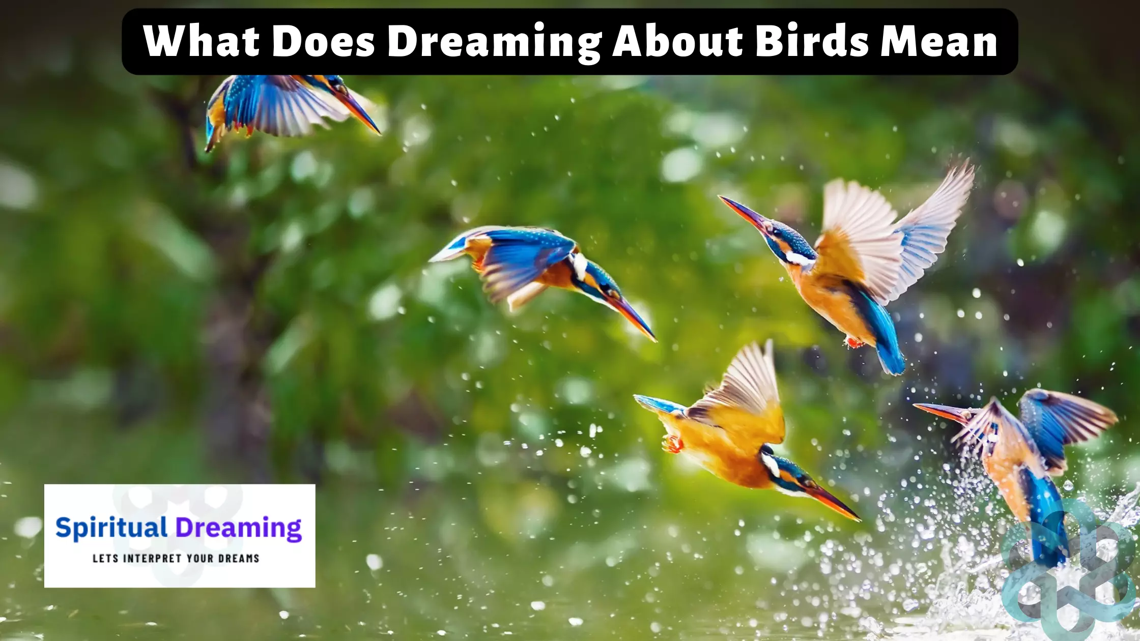 What Does Dreaming About Birds Mean