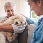 Senior couple cuddling their fluffy puppy at Birdneck Animal Hospital