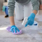 carpet shampoo cleaning