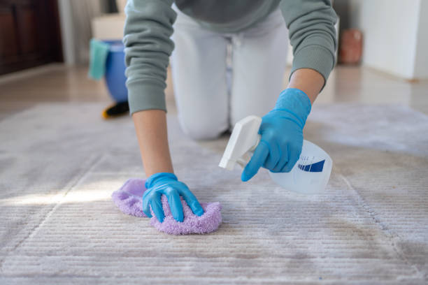 carpet shampoo cleaning