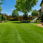 How to Keep Your Lawn Perfect: Lawn Maintenance Near Frisco