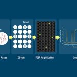 Copy Number Variation Assay