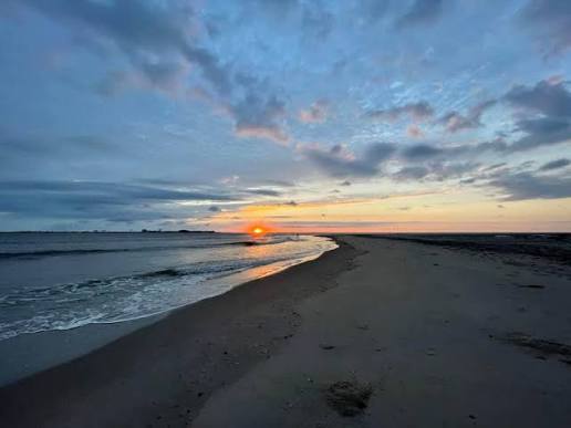 ocnj daily