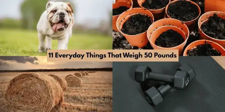 things that weigh 50 pounds
